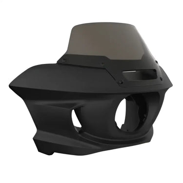 Motorcycle fairing with tinted windscreen.